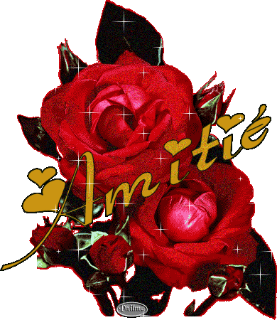 Pour toi mon ami